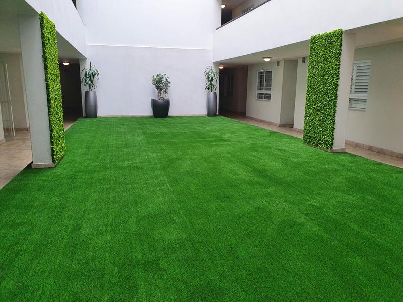 To Let 0 Bedroom Property for Rent in Salt River Western Cape